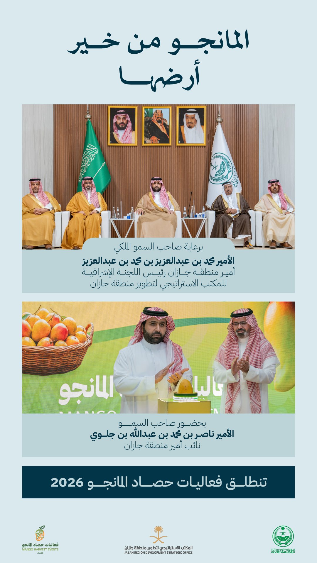 مانجو جازان