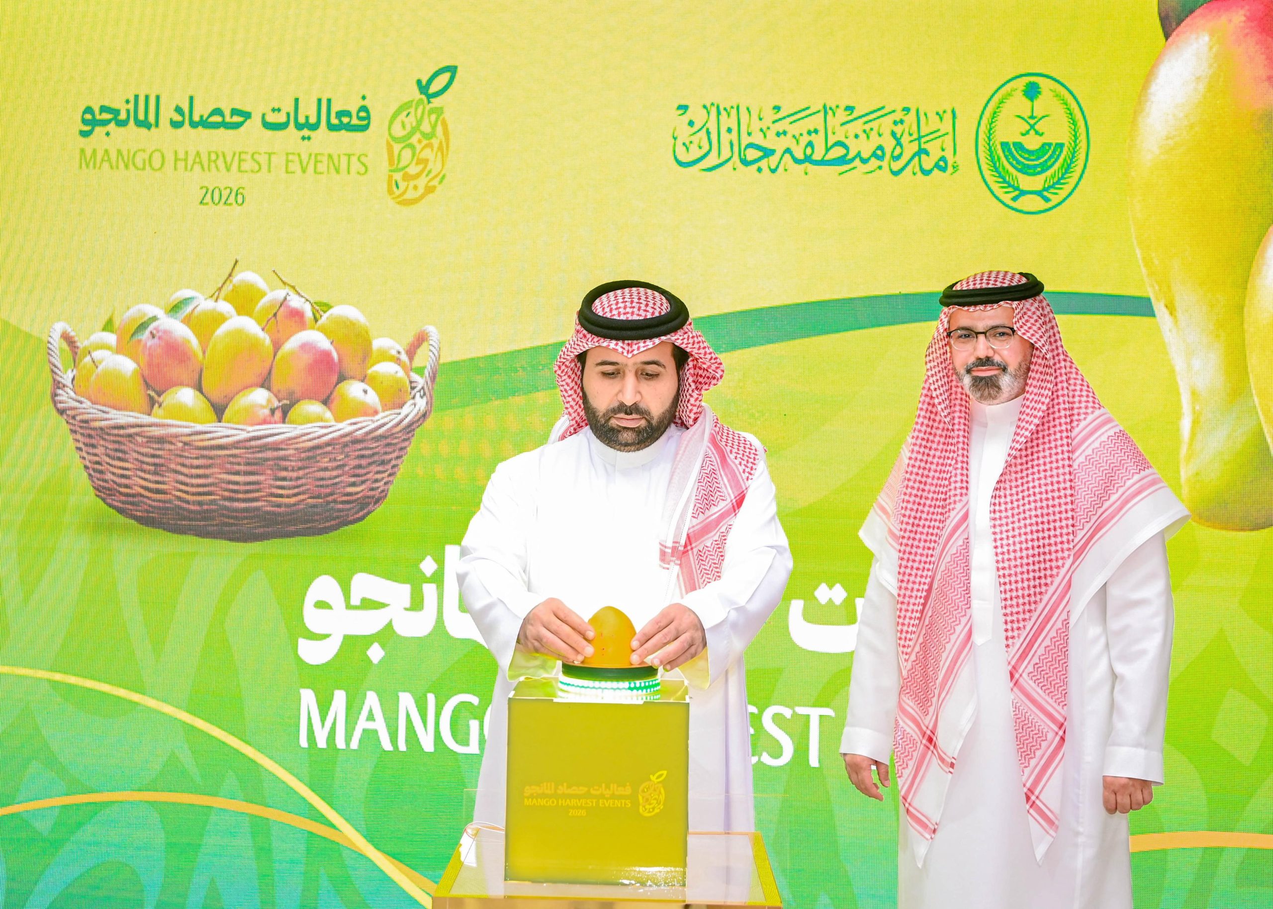 مانجو جازان