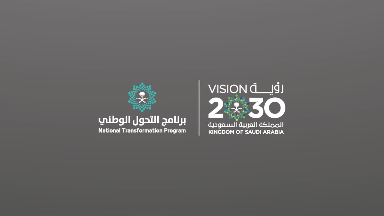 "التحول الوطني" يستعرض إنجازات 313 مبادرة إستراتيجية.. الرابط والتفاصيل