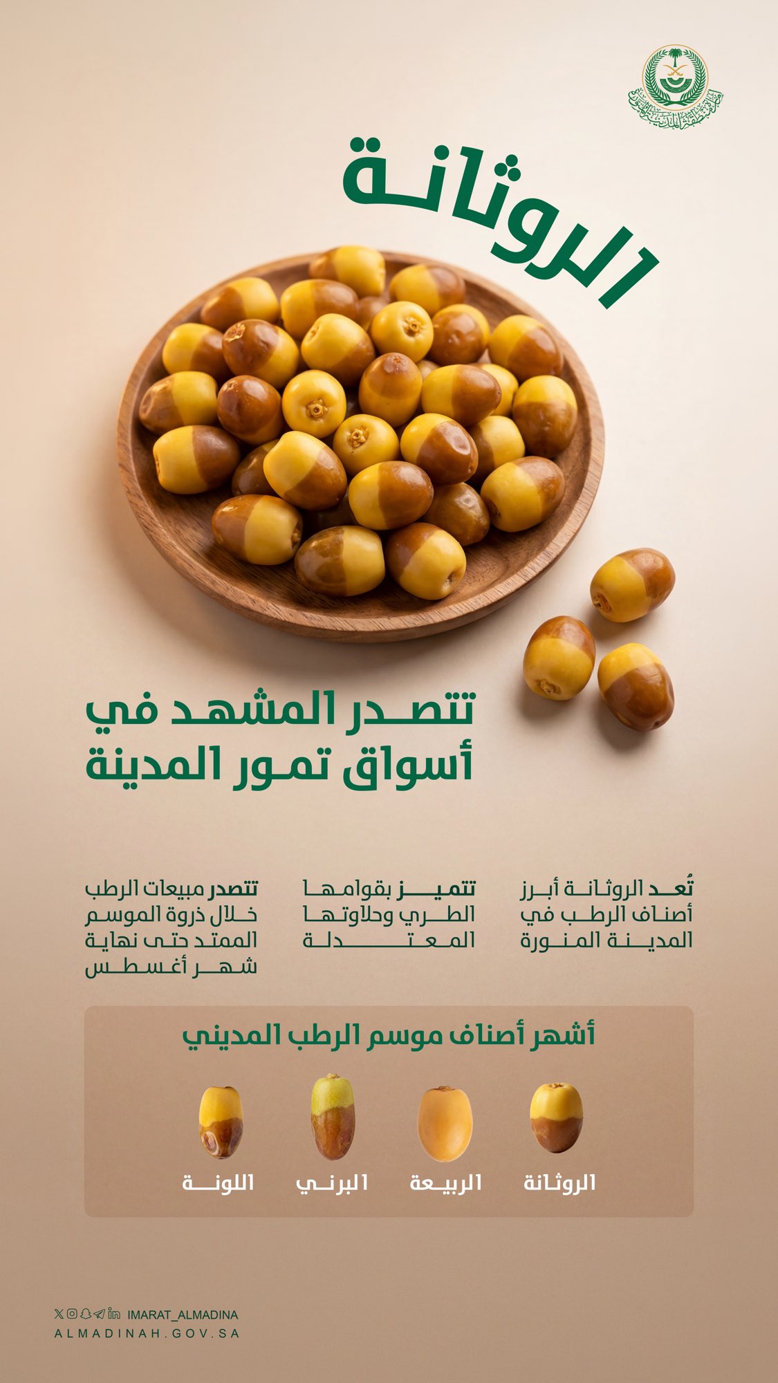موسم التمور في المدينة المنورة