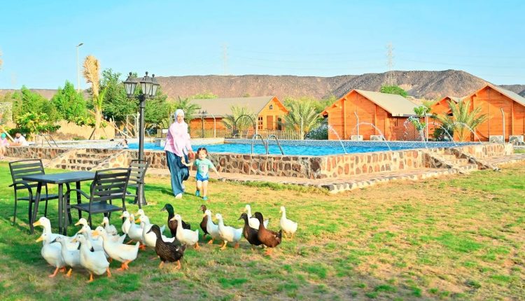 مزارع شمال جدة 2026