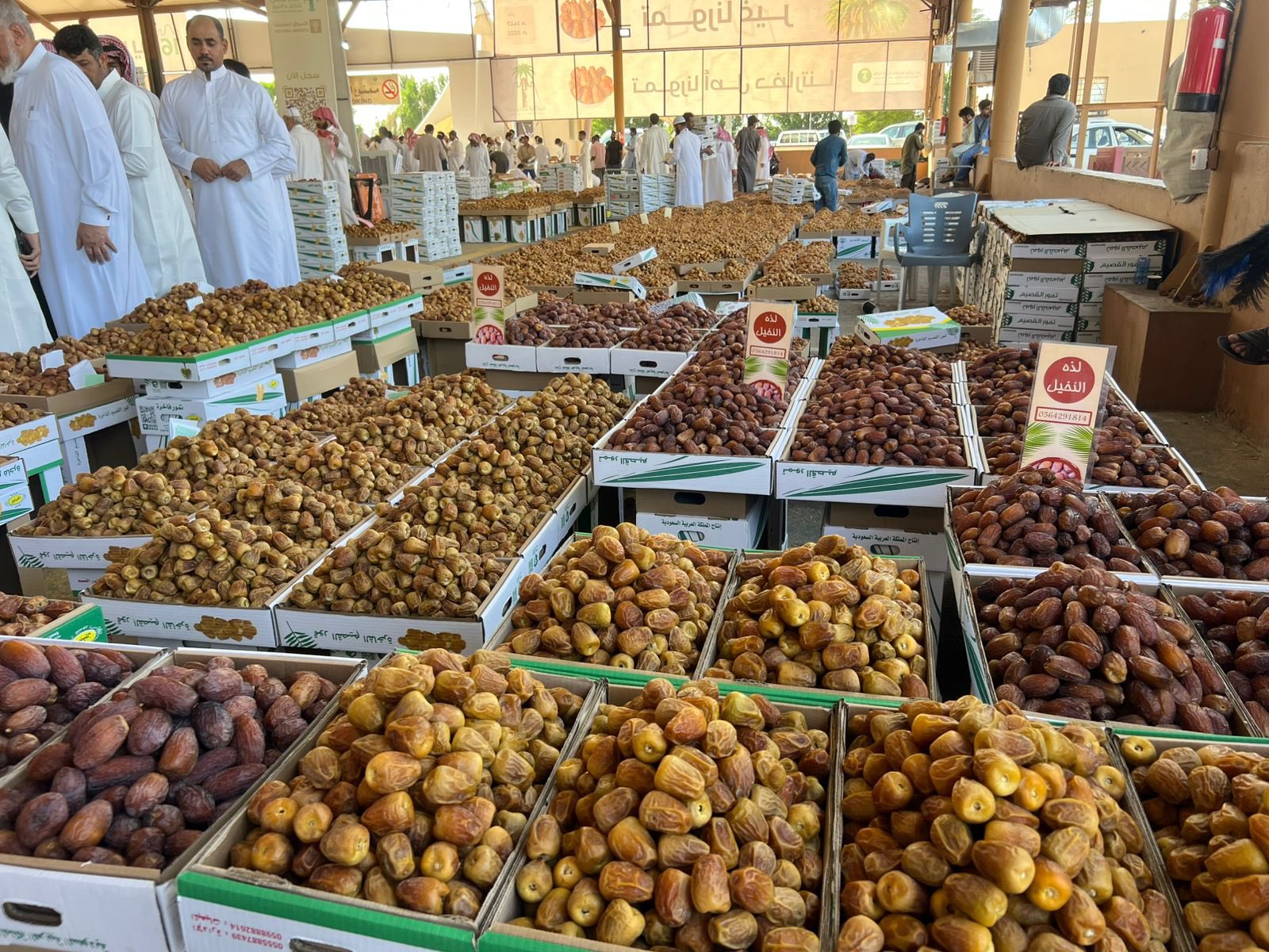 سوق تمور البكيرية