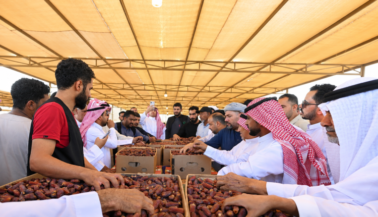 موسم العلا للتمور 2026