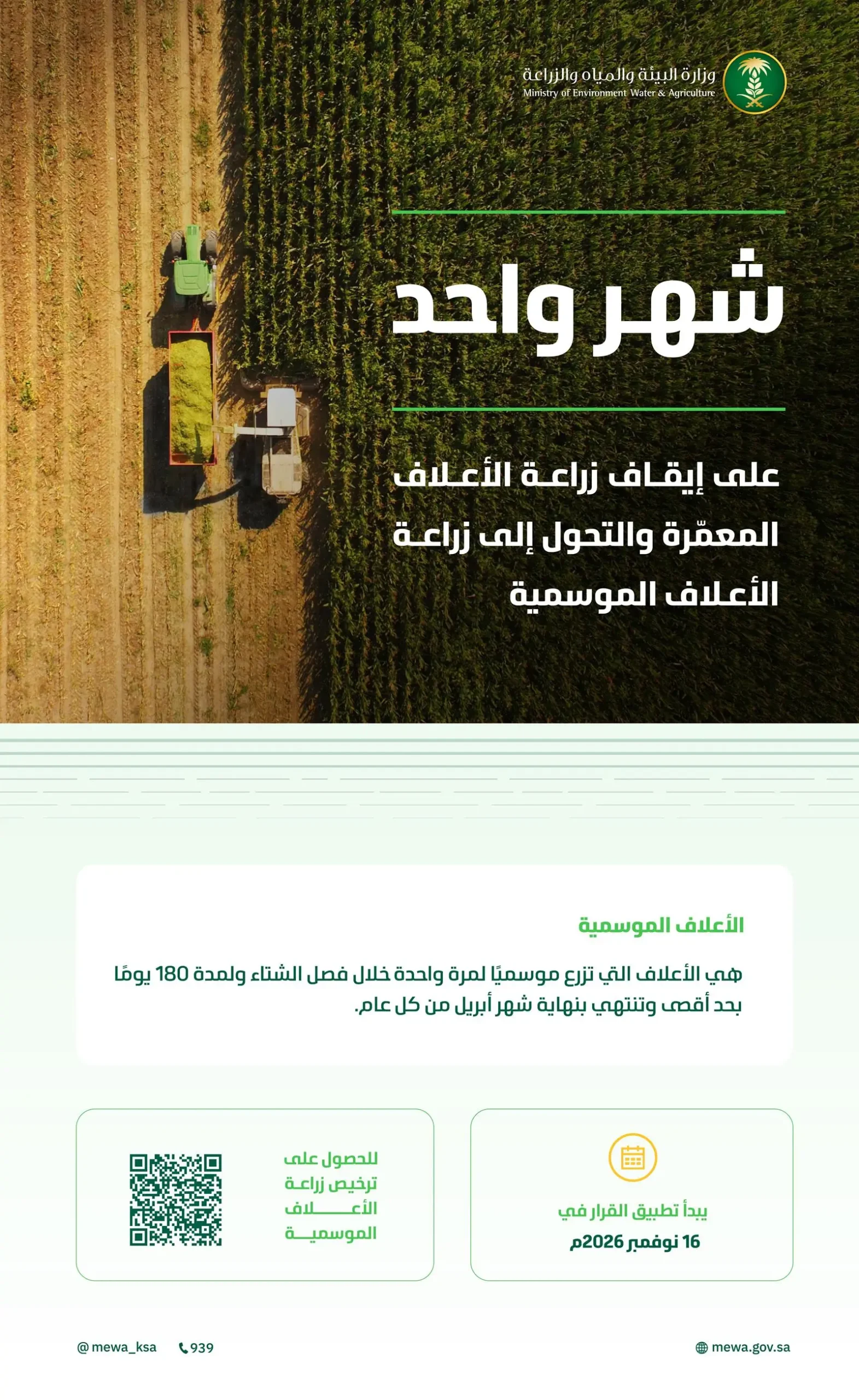 قرار وقف زراعة الأعلاف المعمرة 