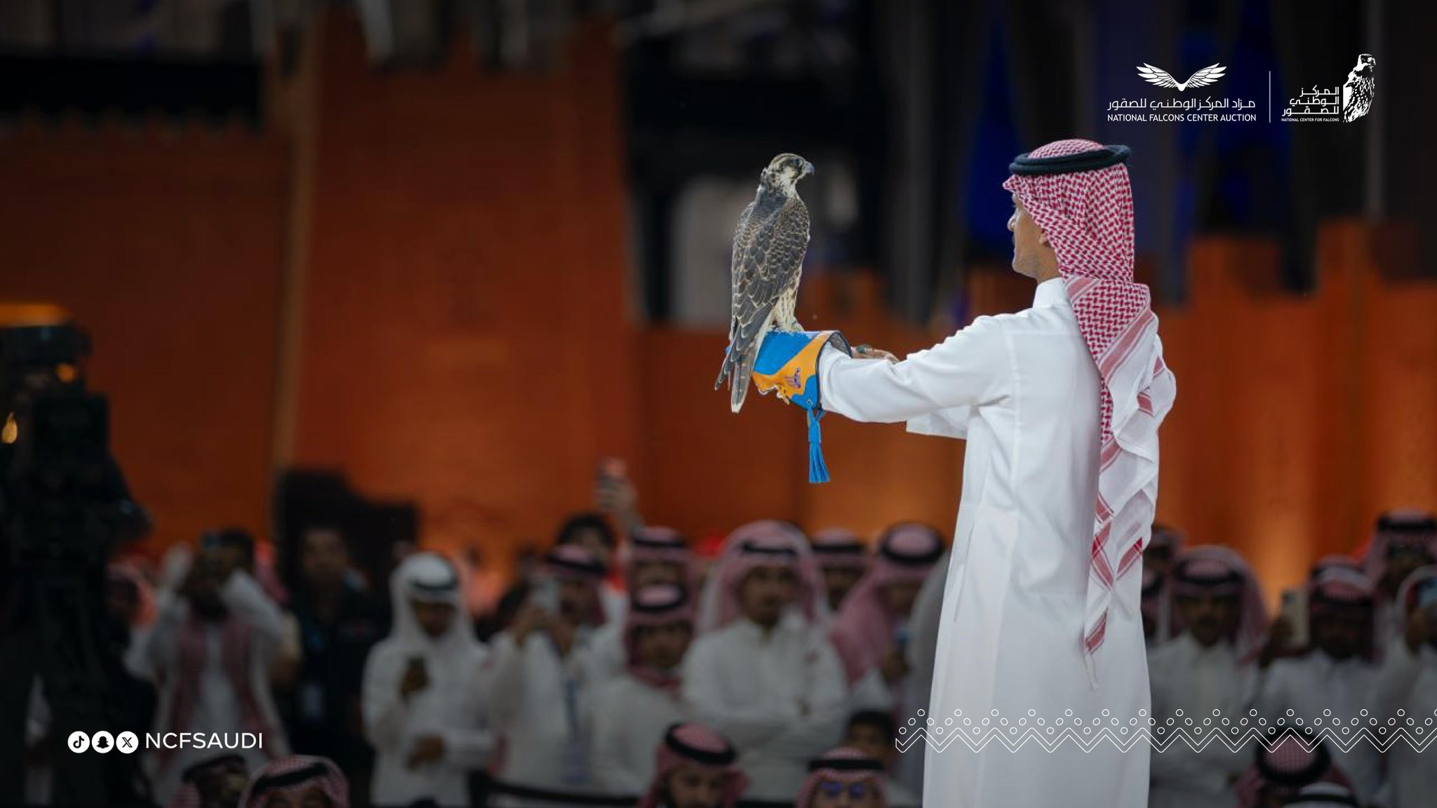 مبيعات ضخمة لمزاد المركز الوطني للصقور 2026 بعد سبع ليال