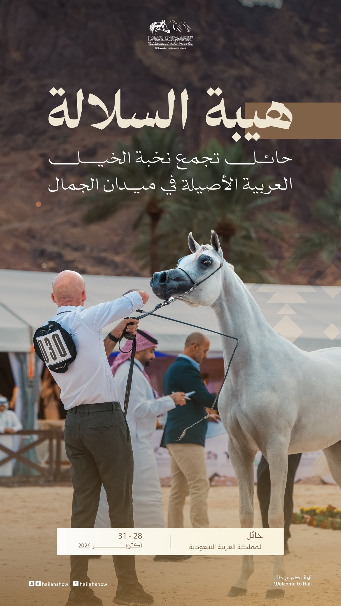 بطولة حائل لجمال الخيل العربية