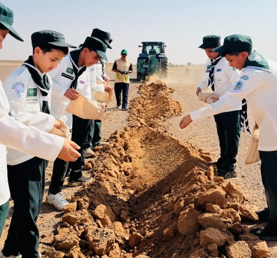 التشجير الوطني 2026.. اكتمال نثر البذور في 5 مواقع بحائل لتأهيل المراعي الطبيعية